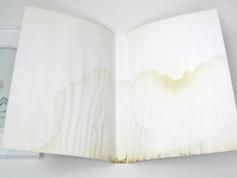 DVD 運命の出会い サラブレッドにかけた夢 表紙水濡れヨゴレ　ディスクOK