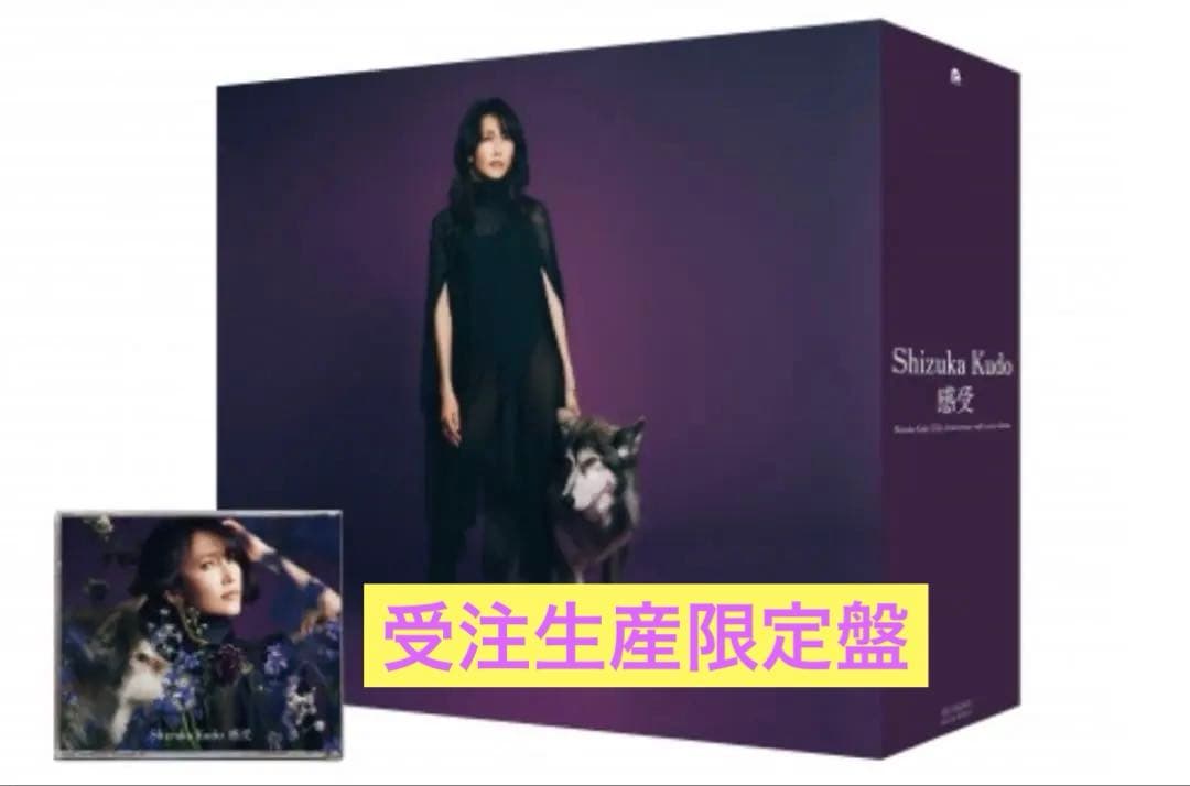 本日31日限定値下げ！工藤静香　感受　完全受注生産限定盤