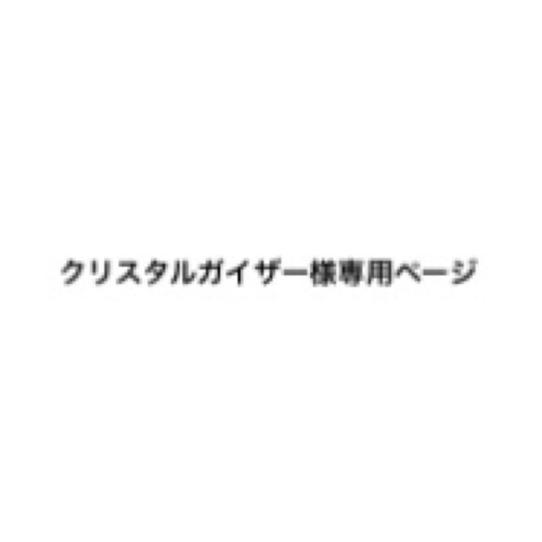 専用ページ