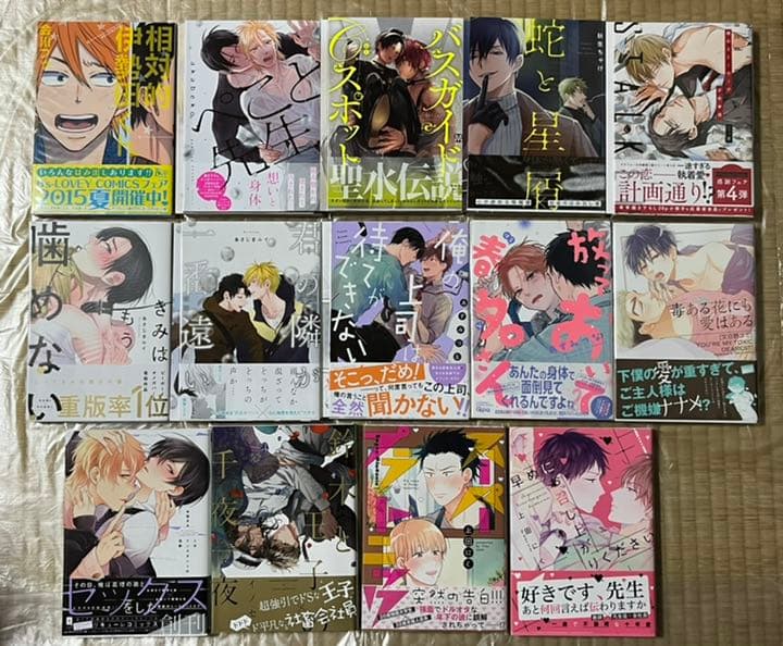 24 BL本まとめ売り　ボーイズラブコミックス　BOYS LOVE COMICS