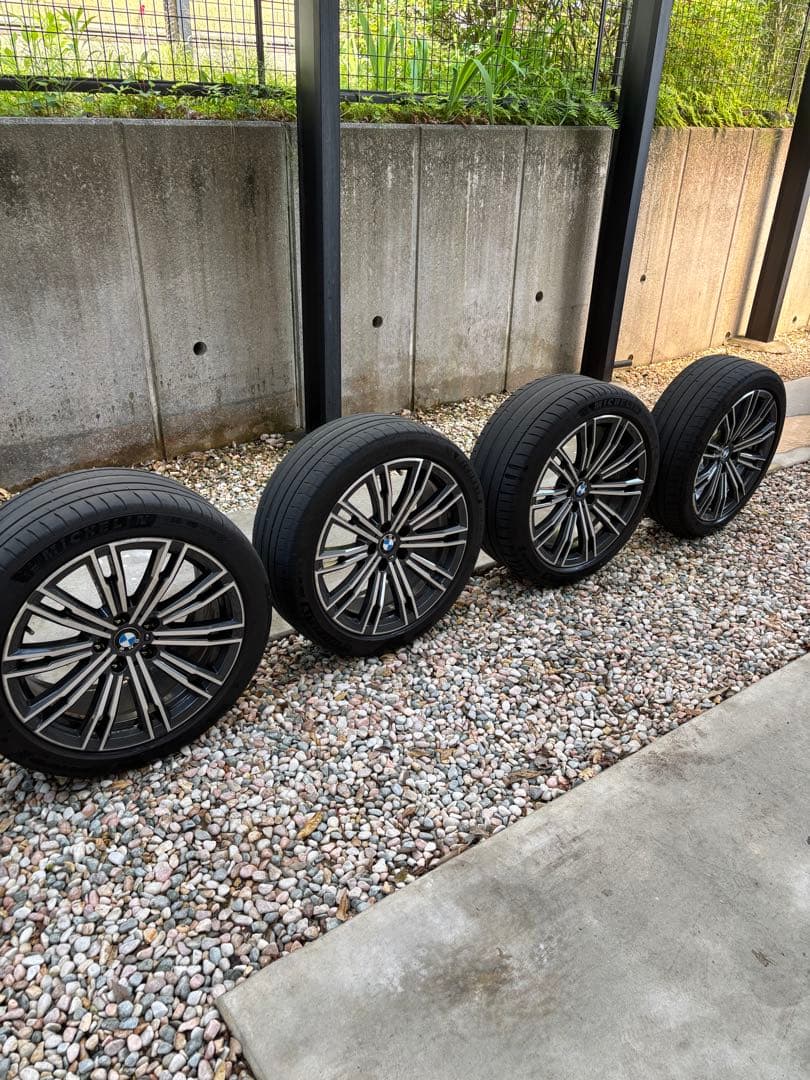 マジックベリーです。