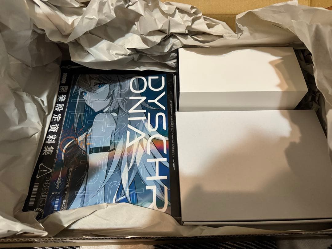 ディスクロニア:CA クラウドファンディング リターン品