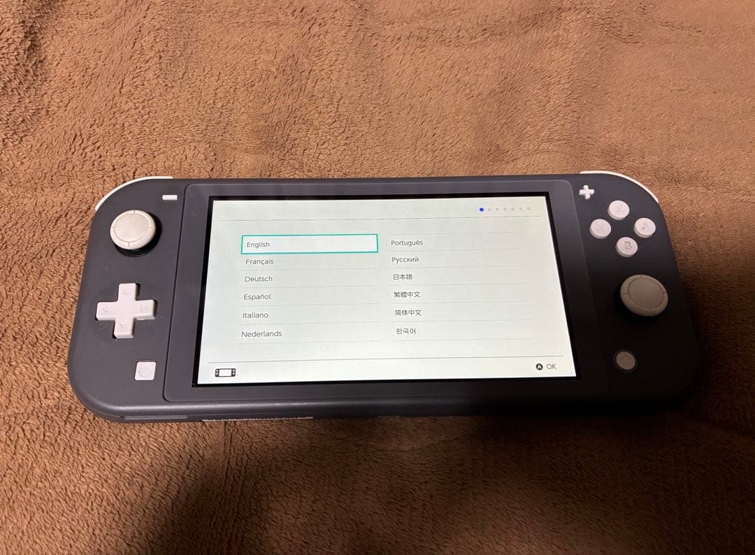 Nintendo Switch Light グレー 本体のみ