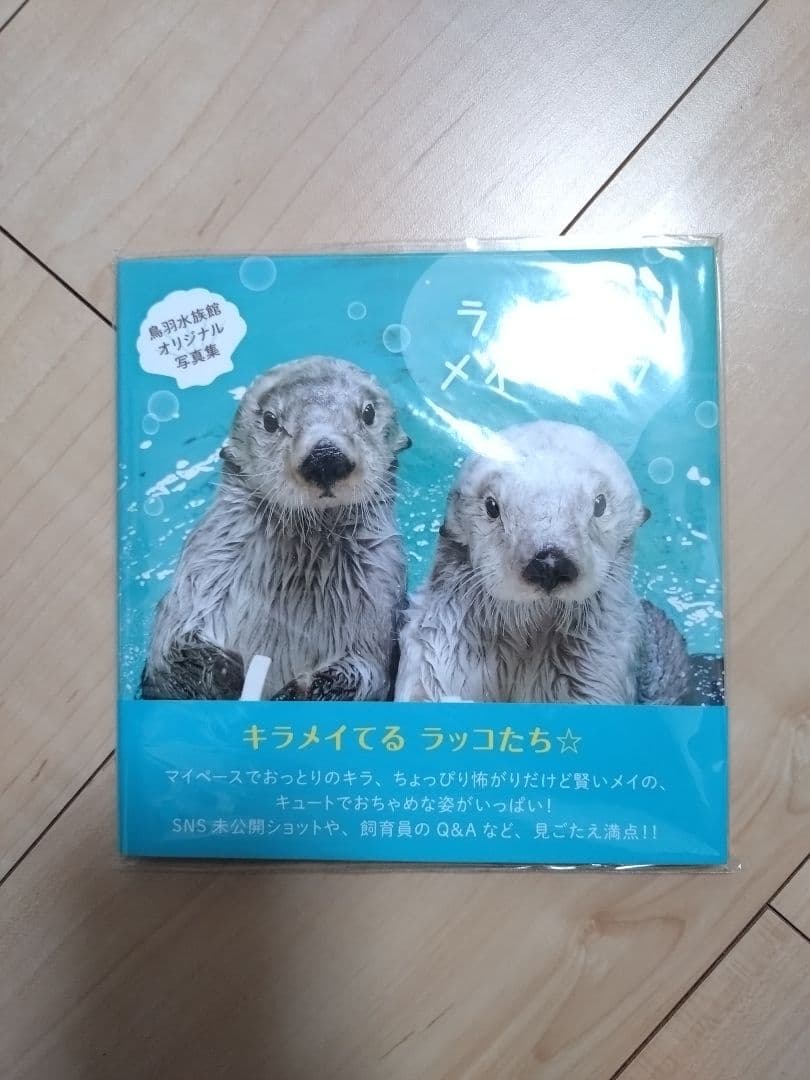 ラッコのメイとキラ　写真集