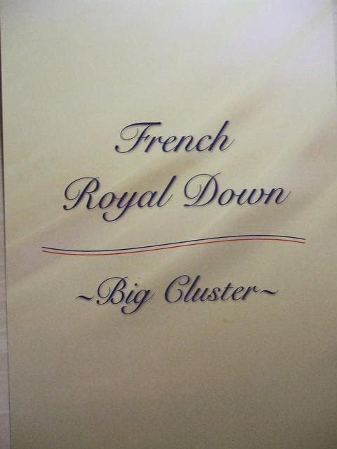 2点ペア特別価格！新品＊ロイヤル＊フランス９３％＊増量１，３キロ＊羽毛布団Ｓ