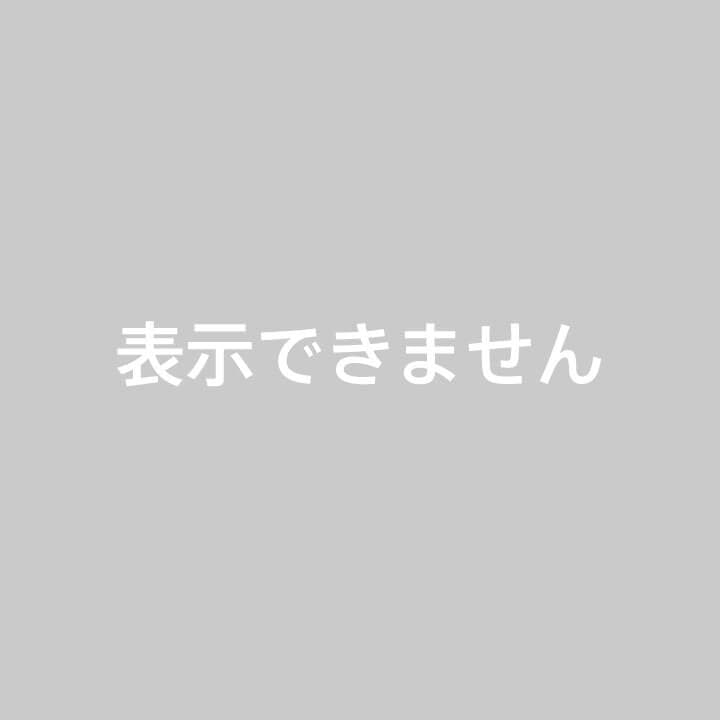 LE DENIM BDUデニムシャツ　美品