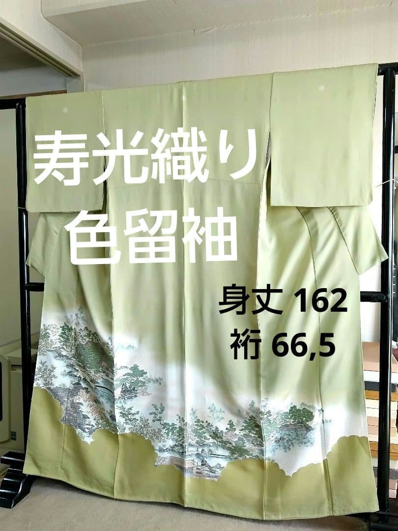 T-293 色留袖 寿光織 樹木 風景 袷 三ツ紋 暈し 金銀糸 美品