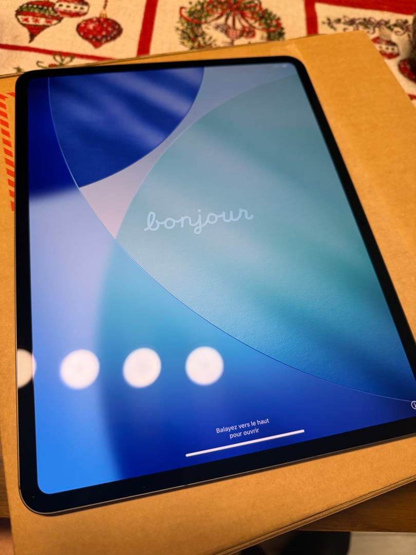 IPAD PRO M5 13インチ256GB WIFI+CELLULAR