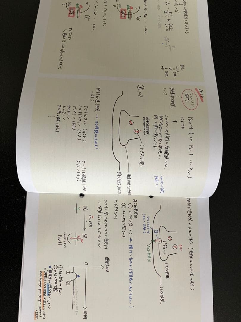 医学部編入　筑波　大阪　北海道　過去問　基礎〜実戦　講義ノート　セット　KALS
